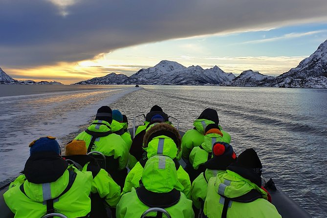 Trollfjord and Sea Eagle Safari Tour from Svolvaer - A 2-hour RIB ride to Trollfjord’s towering fjord walls