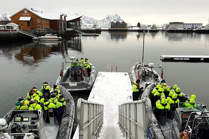 Trollfjord and Sea Eagle Safari Tour from Svolvaer - Who should book this Trollfjord and Sea Eagle Safari?