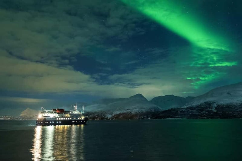 Tromsø: 24hr Northern Lights & Whale Watching Cruise - Key Things I’d Pay Attention To