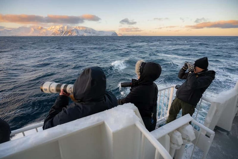 Tromsø: 24hr Northern Lights & Whale Watching Cruise - Tromsø Harbour to Your Ocean-Facing Cabin: The Comfort Starts Immediately