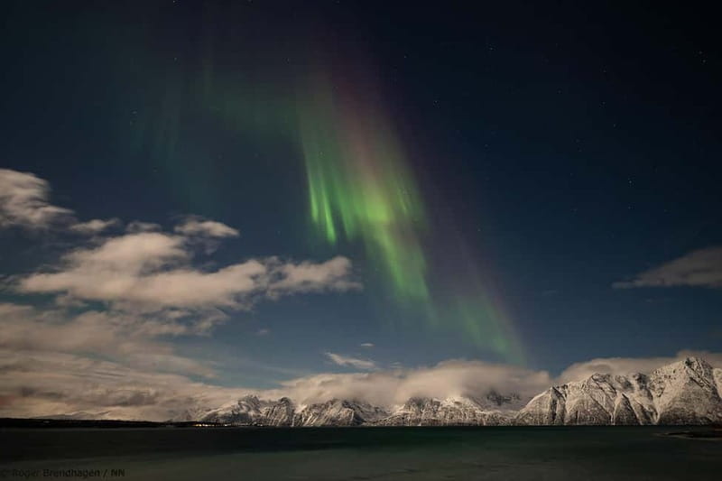 Tromsø: 24hr Northern Lights & Whale Watching Cruise - Warm Deck Time: Thermal Suits and Staying Outside Longer
