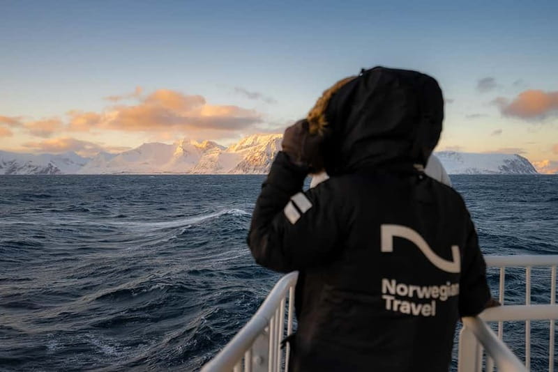 Tromsø: 24hr Northern Lights & Whale Watching Cruise - Overnight Sailing Toward Wildlife: Why the Timing Matters
