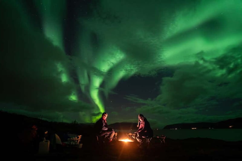 Tromsø: Adult Only Aurora hunt with Citizen Science - Key highlights to look for