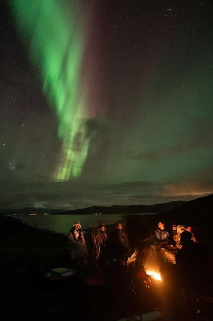 Tromsø: Adult Only Aurora hunt with Citizen Science - How the route works, microclimates, and why they might drive far