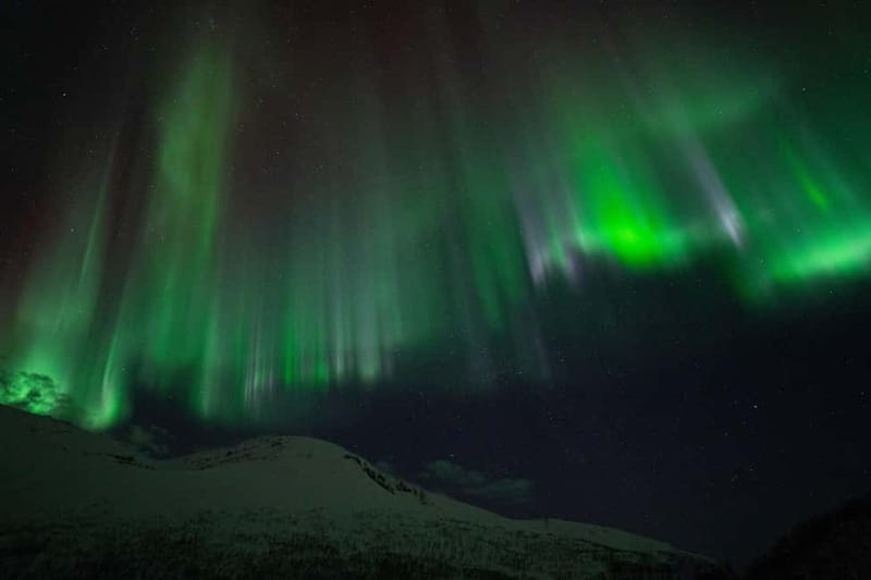 Tromsø: Adult Only Aurora hunt with Citizen Science - Thermal suits, boots, and campfire comfort that actually helps