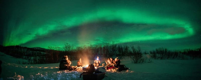 Tromsø: Adult Only Aurora hunt with Citizen Science - Aurora photography coaching, tripods, and getting better results fast