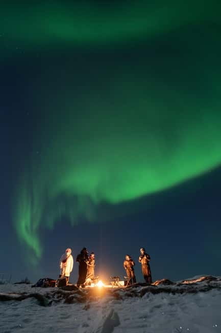 Tromsø: Adult Only Aurora hunt with Citizen Science - Odds of seeing the aurora, and how good guides handle reality