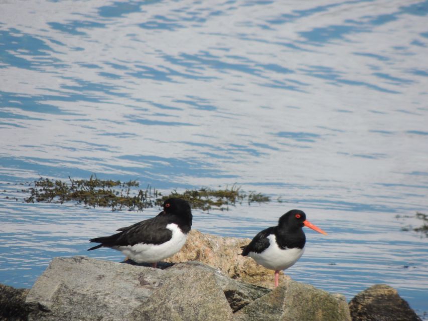 Tromso: All-Inclusive Arctic Fjords and Sommarøy Scenic Tour - When the light turns: sun, sunset, and long Arctic hours