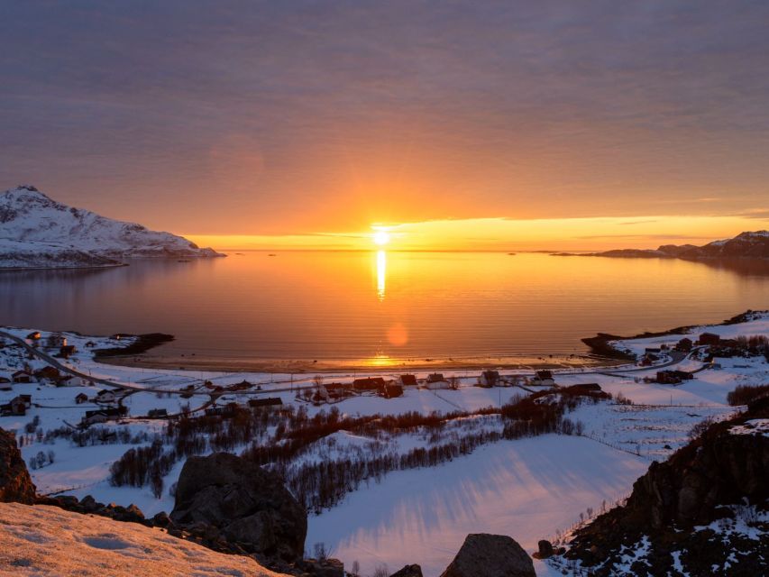 Tromso: All-Inclusive Arctic Fjords and Sommarøy Scenic Tour - Riding the Mercedes Sprinter across Kvaløya
