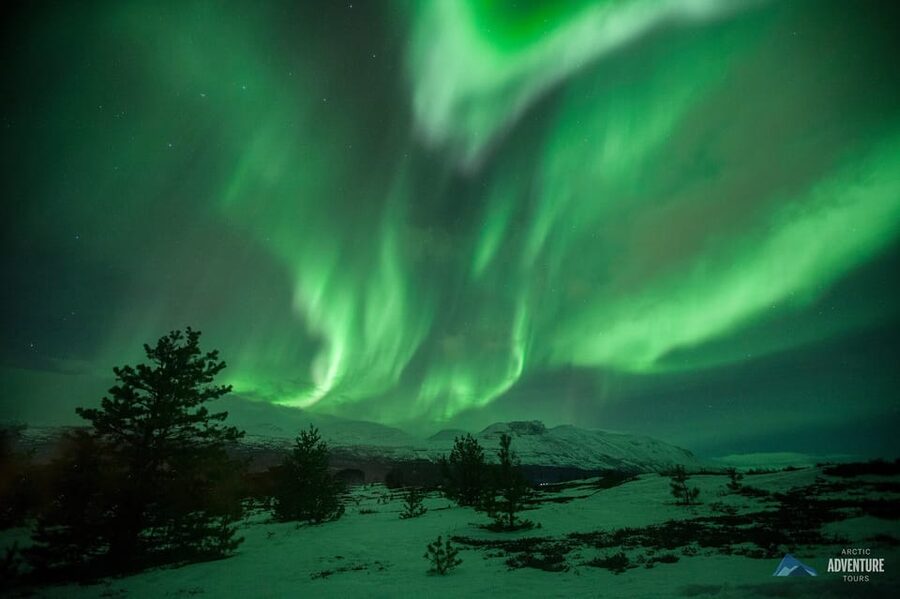 Tromsø: All-Inclusive Northern Lights Hunt - Logistics that can surprise you, and how to handle them
