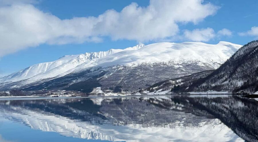 Tromsø: Arctic Fjord Cruise & Fishing Experience - Winter fjord cruising in Tromsø feels real, not rushed