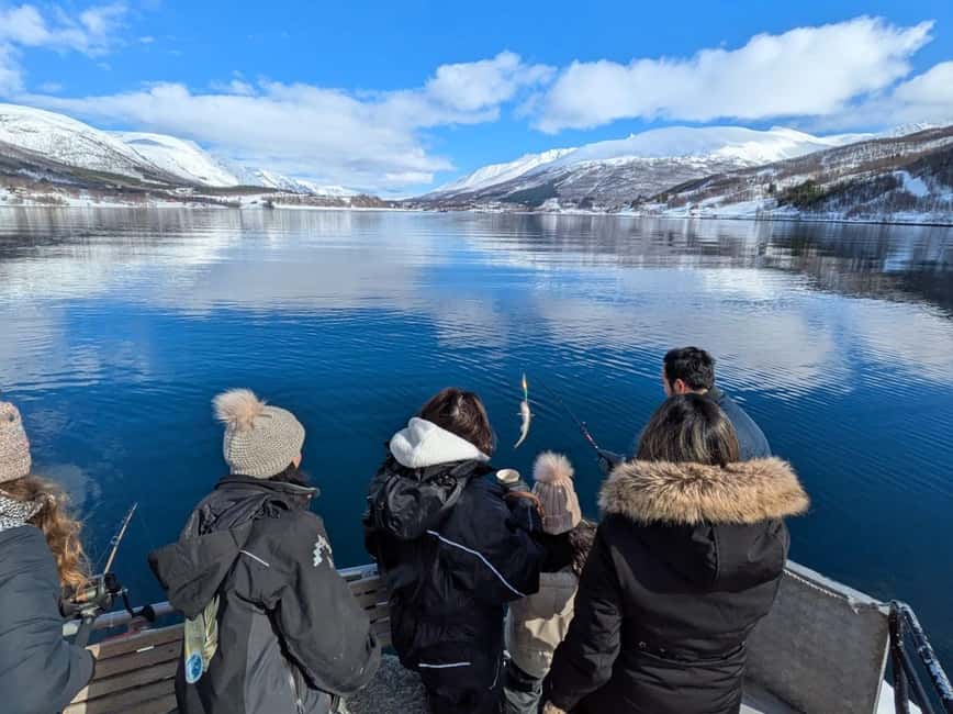 Tromsø: Arctic Fjord Cruise & Fishing Experience - Price and Value for About $156