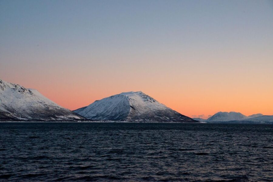 Tromsø: Arctic Fjord Cruise in Polar Landscapes - Arctic Tromsø Fjord Cruise: what you are really paying for