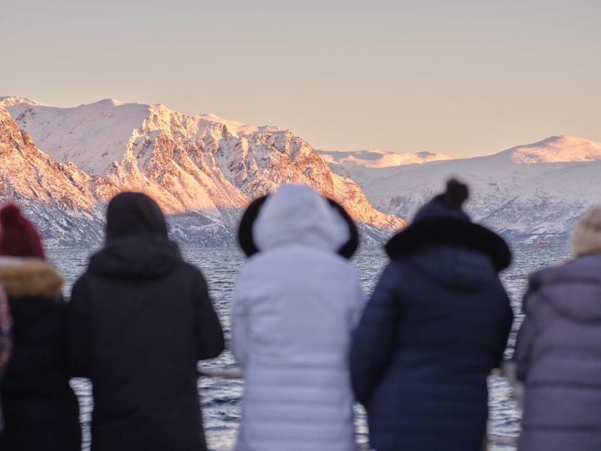 Tromsø: Arctic Fjord Cruise in Polar Landscapes - Tromsø culture and Arctic history, explained in plain language