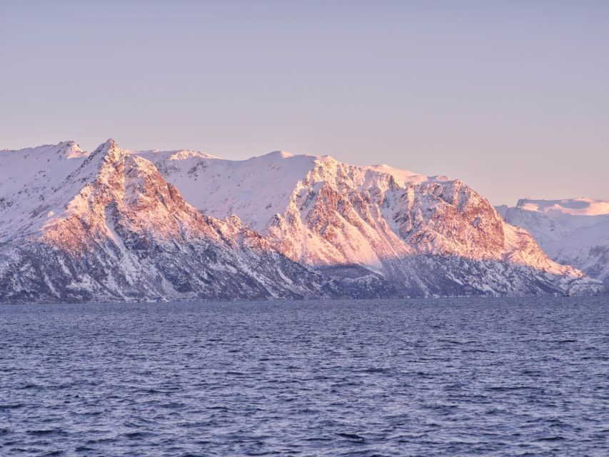 Tromsø: Arctic Fjord Cruise in Polar Landscapes - The free photography lesson: how to get sharper fjord photos
