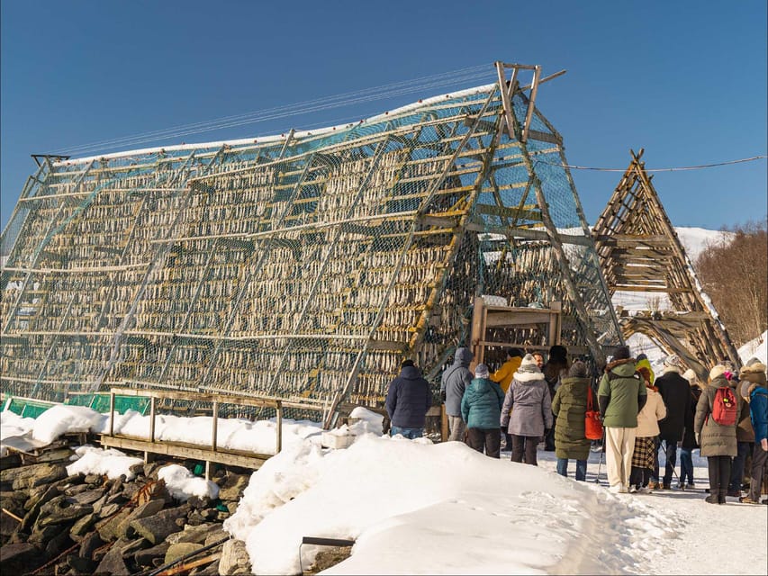 Tromsø: Arctic Fjord Cruise With Stop On Land At Fish Racks - Key highlights to know before you go