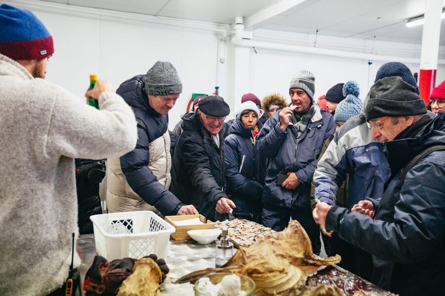 Tromsø: Arctic Fjord Cruise With Stop On Land At Fish Racks - Rya stop: free time, food tasting, and guide-led island context