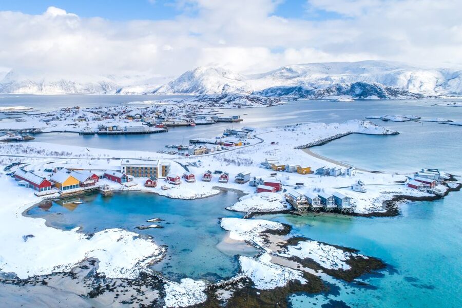 Tromsø: Arctic fjord sightseeing, Reindeer feeding and lunch - Dress for winter, and you’ll enjoy every stop more