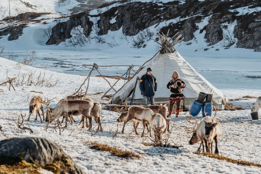 Tromsø: Arctic fjord sightseeing, Reindeer feeding and lunch - Sommarøy and the Arctic Hotel lunch that actually feels like a meal