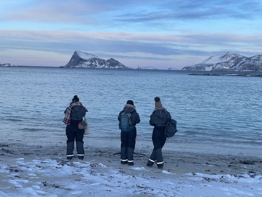 Tromsø: Arctic fjord sightseeing, Reindeer feeding and lunch - Reindeer camp: meeting the herder and feeding the herd
