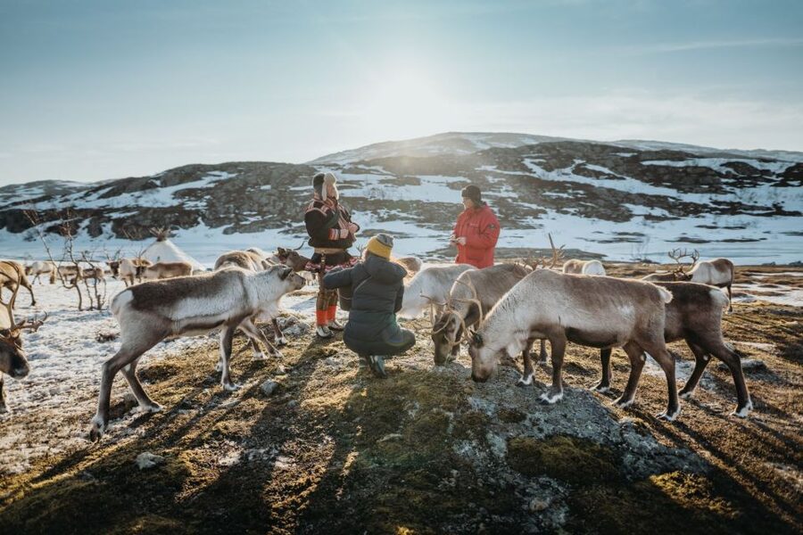Tromsø: Arctic fjord sightseeing, Reindeer feeding and lunch - Tromsø start point and the day’s rhythm on the road