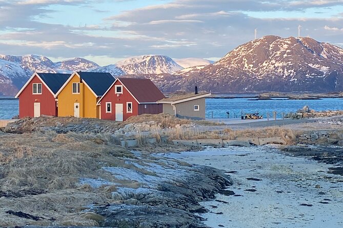 Tromsø Arctic Fjords Adventure Tour with Local Lunch - Key Things You Should Know Before You Go