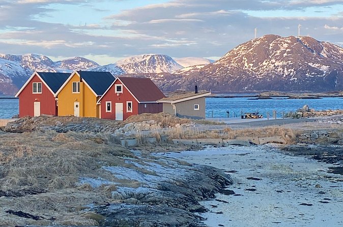 Tromsø Arctic Fjords Adventure Tour with Local Lunch - What You Actually Get for $180.44: Value Breakdown That Adds Up