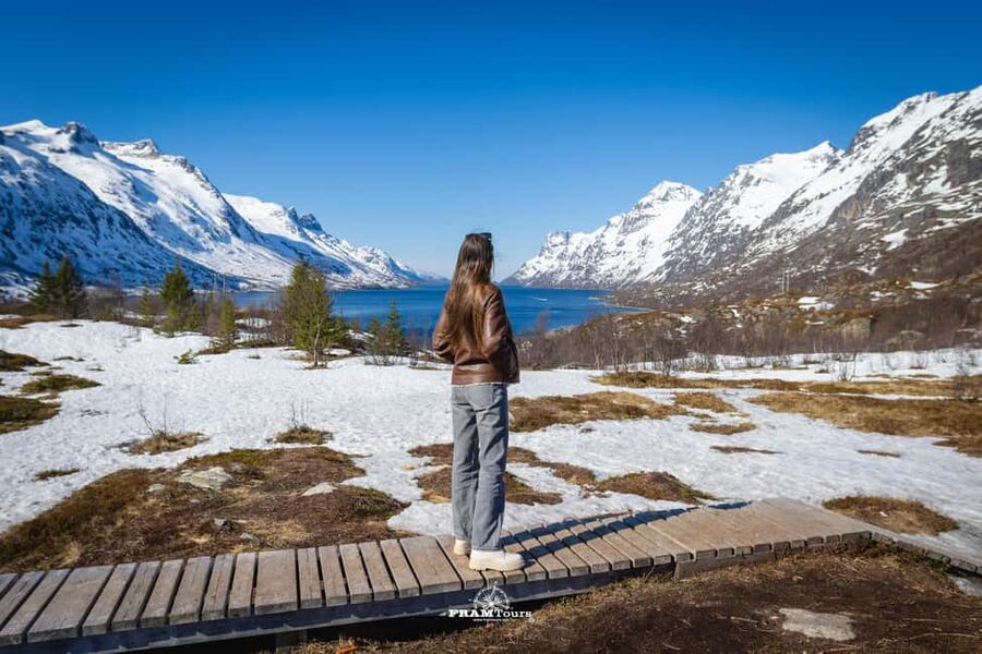 Tromsø: Arctic Fjords Tour to Kvaløya with Panoramic Lunch - Key Highlights You’ll Feel Immediately