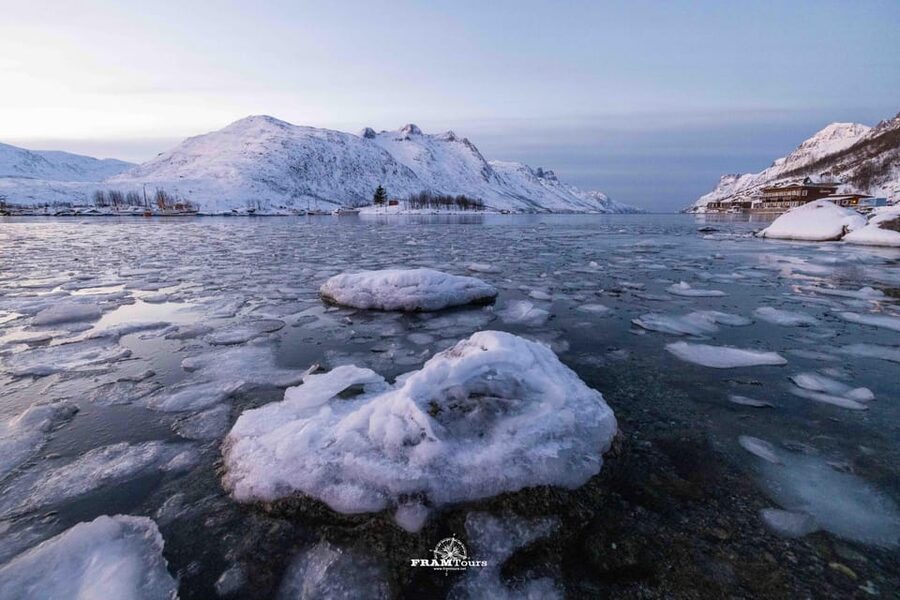 Tromsø: Arctic Fjords Tour to Kvaløya with Panoramic Lunch - Getting There From FRAMTours (Without the Hassle)