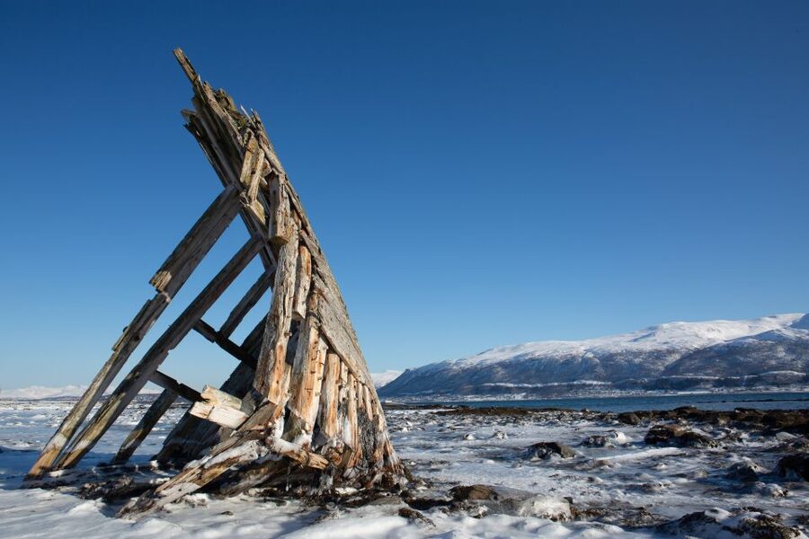 Tromsø: Arctic Fjords Tour to Kvaløya with Panoramic Lunch - Wildlife Spotting: What You’re Really Looking For