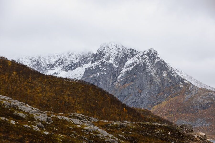 Tromsø: Arctic Fjords Tour to Kvaløya with Panoramic Lunch - Photography Tips That Help You Get Results