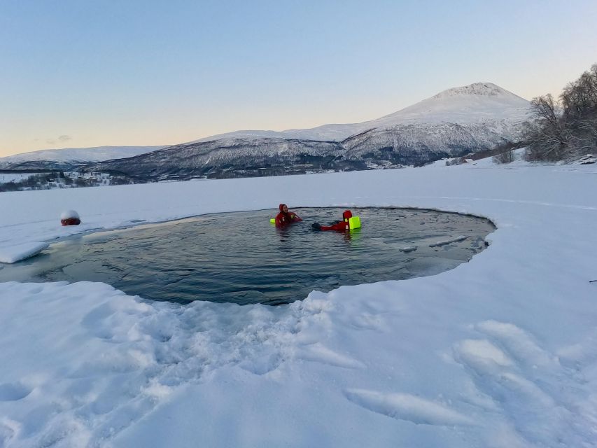 Tromsø: Arctic Floating with Snacks and Drinks - Floating the Arctic in a Survival Suit You Actually Want to Wear
