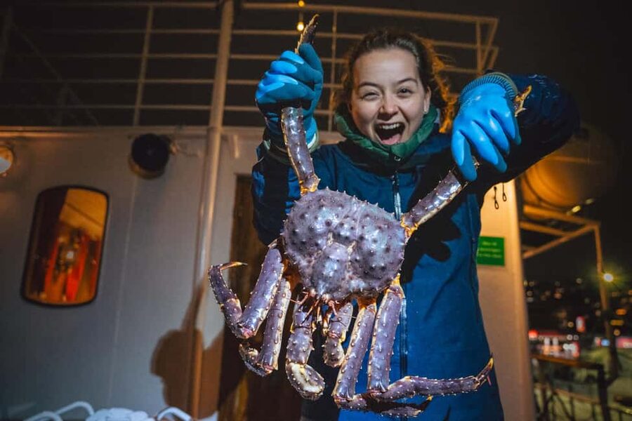 Tromsø: Arctic king crab cruise with self-captured lunch - Key things to know before you go