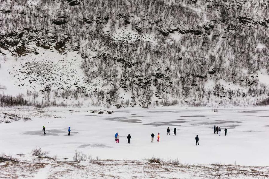 Tromsø: Arctic Landscape and Fjord Tour with Snacks - Key Highlights Worth Booking