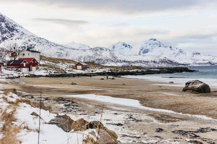 Tromsø: Arctic Landscape and Fjord Tour with Snacks - A 5-Hour Minivan Escape From Tromsø’s Centre
