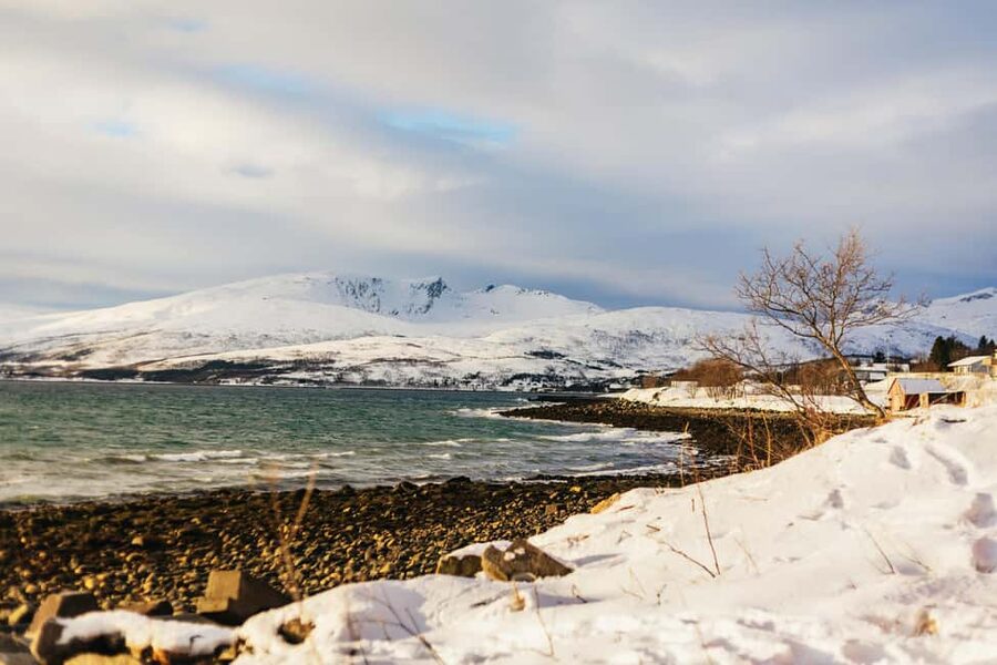 Tromsø: Arctic Landscape and Fjord Tour with Snacks - Karigambukta Picnic Stop: Snacks, Local Treats, and Coastal Feeling