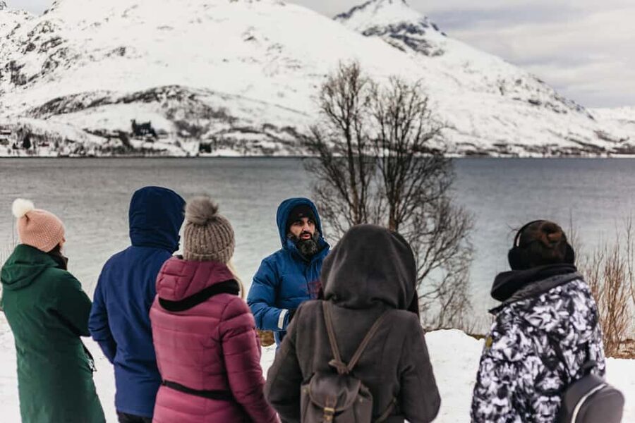 Tromsø: Arctic Landscape and Fjord Tour with Snacks - Wildlife in Winter: What You Can Expect and How to Spot It