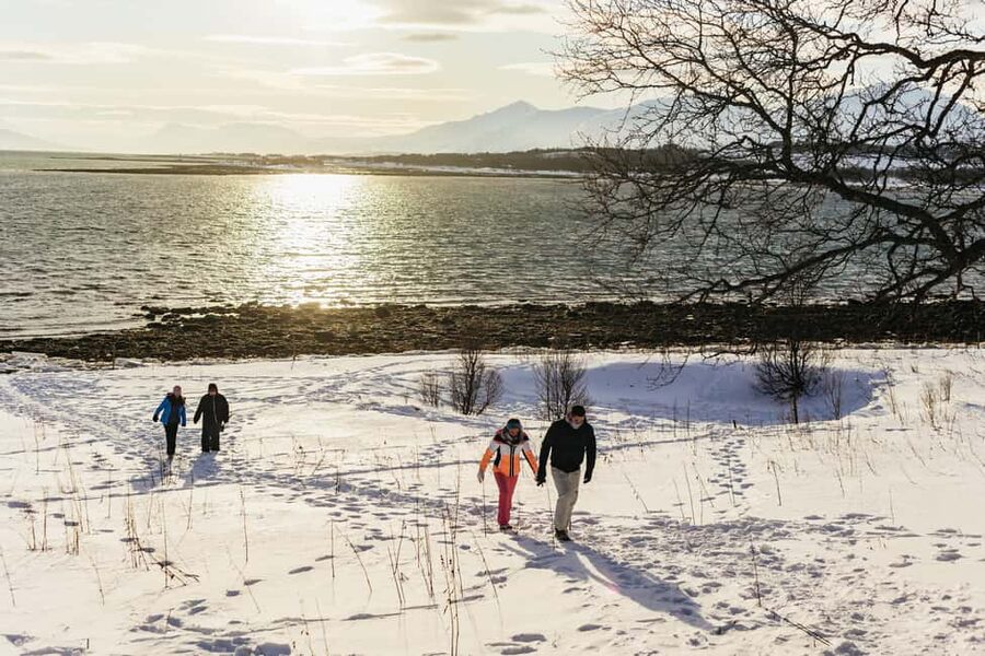 Tromsø: Arctic Landscape and Fjord Tour with Snacks - Photography Tips You’ll Actually Use in Tromsø