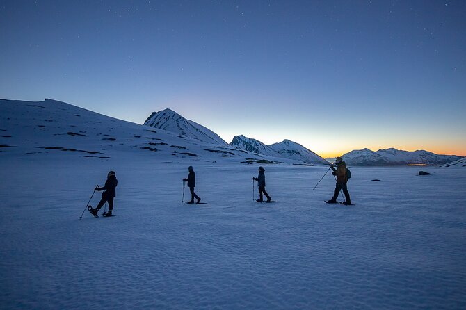 Tromsø: Arctic Landscapes Hiking / Snowshoeing Tour in the wild - Snowshoes, ice crampons, and poles: comfort without shopping for gear