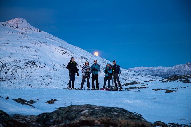 Tromsø: Arctic Landscapes Hiking / Snowshoeing Tour in the wild - The main event: fjords and scenic walking in changing winter conditions