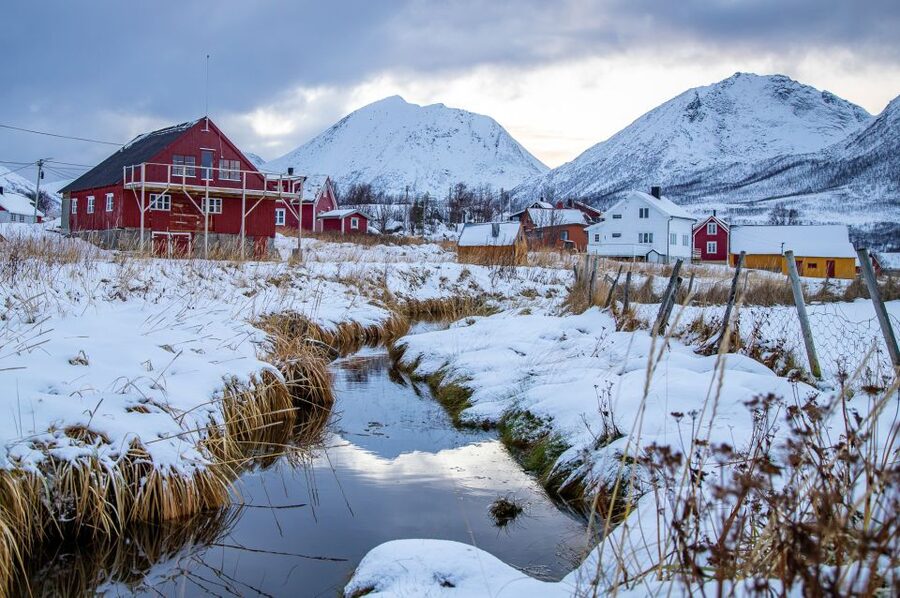 Tromsø: Arctic Nature Roadtrip with Photos & Scenic Lunch - Should you book this Arctic Nature Roadtrip from Tromsø?