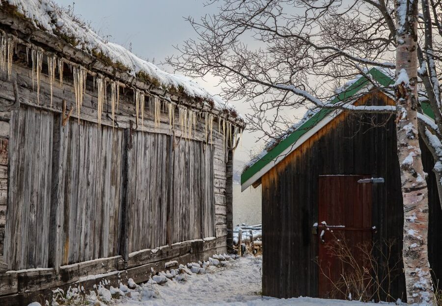 Tromsø: Arctic Nature Roadtrip with Photos & Scenic Lunch - Lunch, hot drinks, and the surprisingly relaxing end-of-day stop