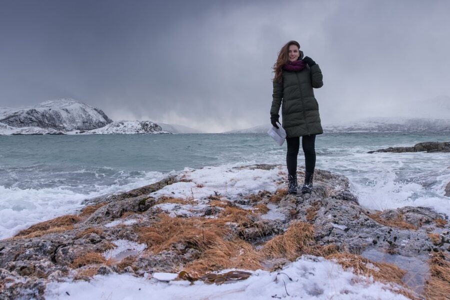 Tromsø: Arctic Nature Roadtrip with Photos & Scenic Lunch - Wildlife odds: reindeer, moose, and sea eagles when conditions cooperate