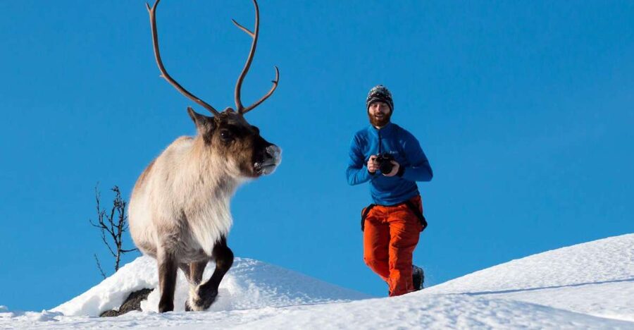 Tromsø: Arctic Nature Roadtrip with Photos & Scenic Lunch - Thermal suits and boots: what they provide, and why you should still plan smart