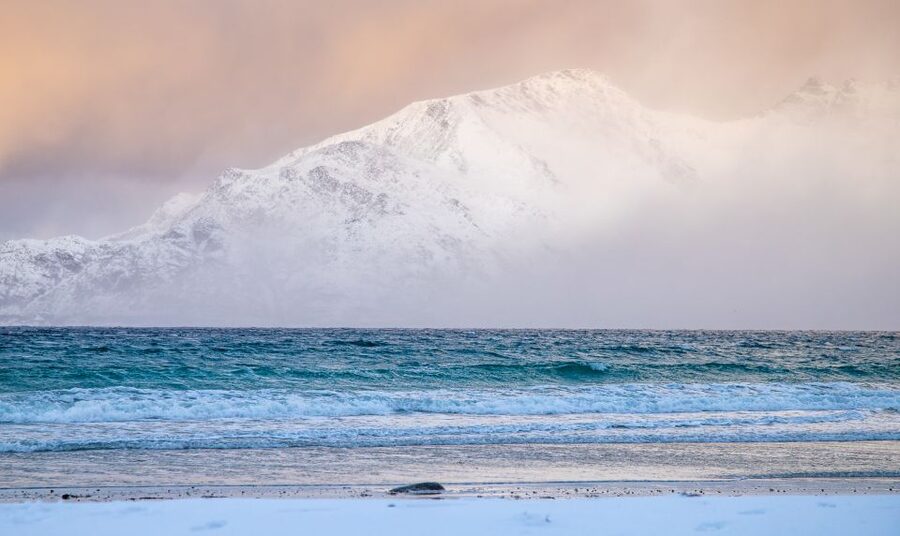 Tromsø: Arctic Nature Roadtrip with Photos & Scenic Lunch - Photos, tripod support, and next-day delivery that actually helps
