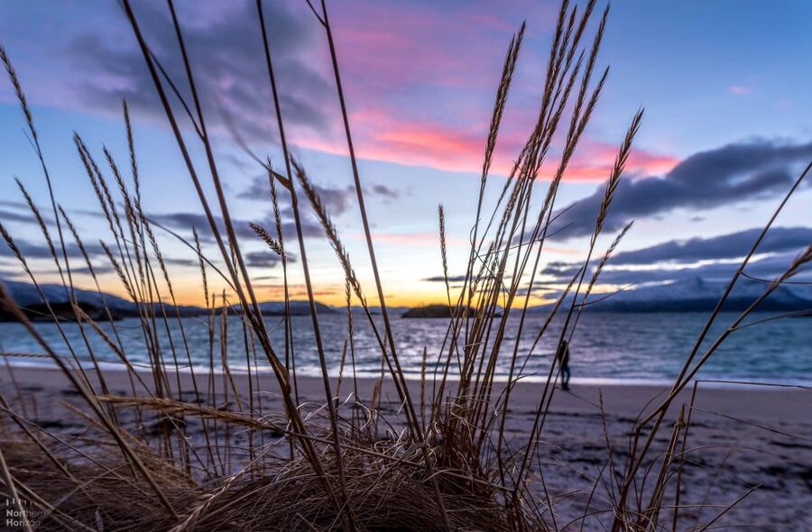 Tromsø: Arctic Nature Roadtrip with Photos & Scenic Lunch - The Kvaløya island loop: fjords, beaches, and frequent photo stops