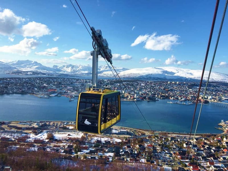 Tromso: Arctic Panorama Cable Car Excursion - What happens during the 2.25 hours at the top