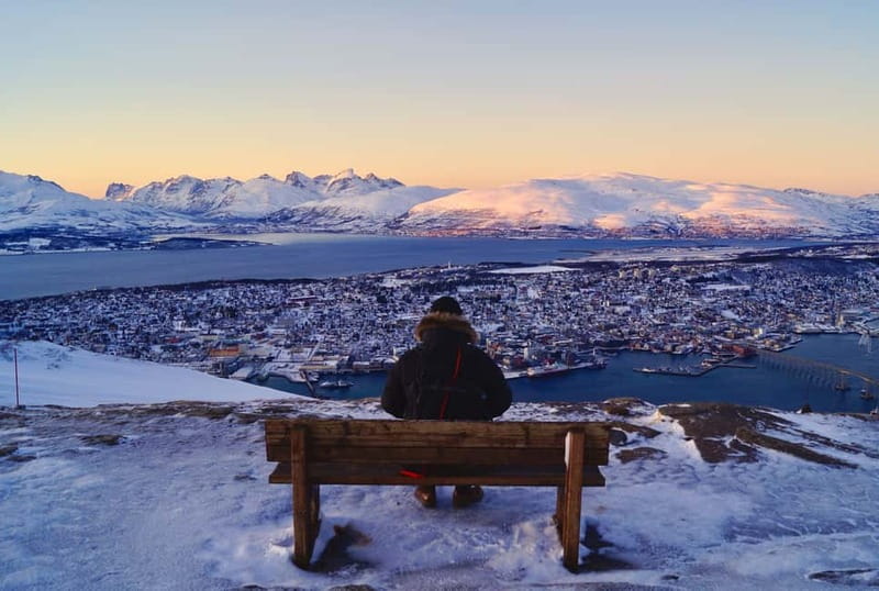 Tromso: Arctic Panorama Cable Car Excursion - Wheelchair access and snowy footing: planning for real conditions