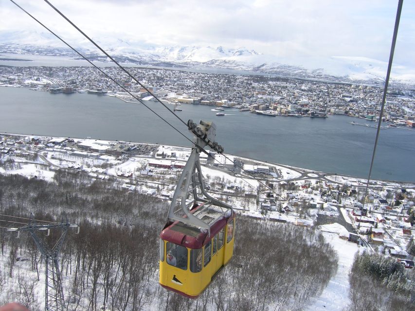Tromsø: Arctic Panorama Fjellheisen Cable Car Ticket - Should you book the Fjellheisen cable car ticket?