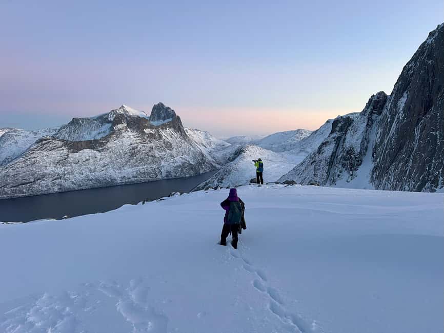 Tromsø: Arctic Sightseeing & Snowshoeing with picnic - Key highlights you should care about